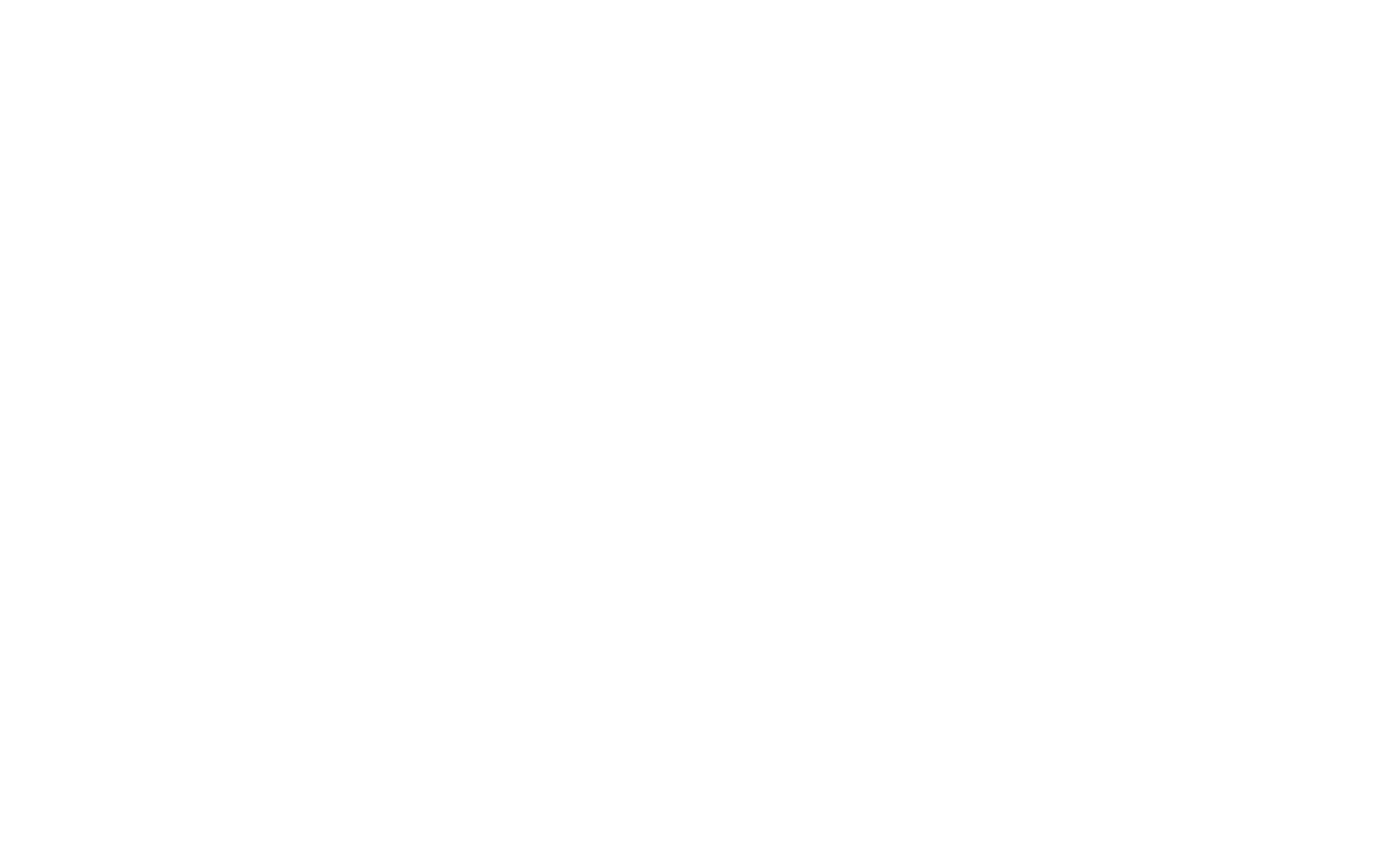 VW LOGO BRANCO